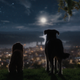 Image for article titled The new Lady And The Tramp feels like a ’90s update of a ’50s classic